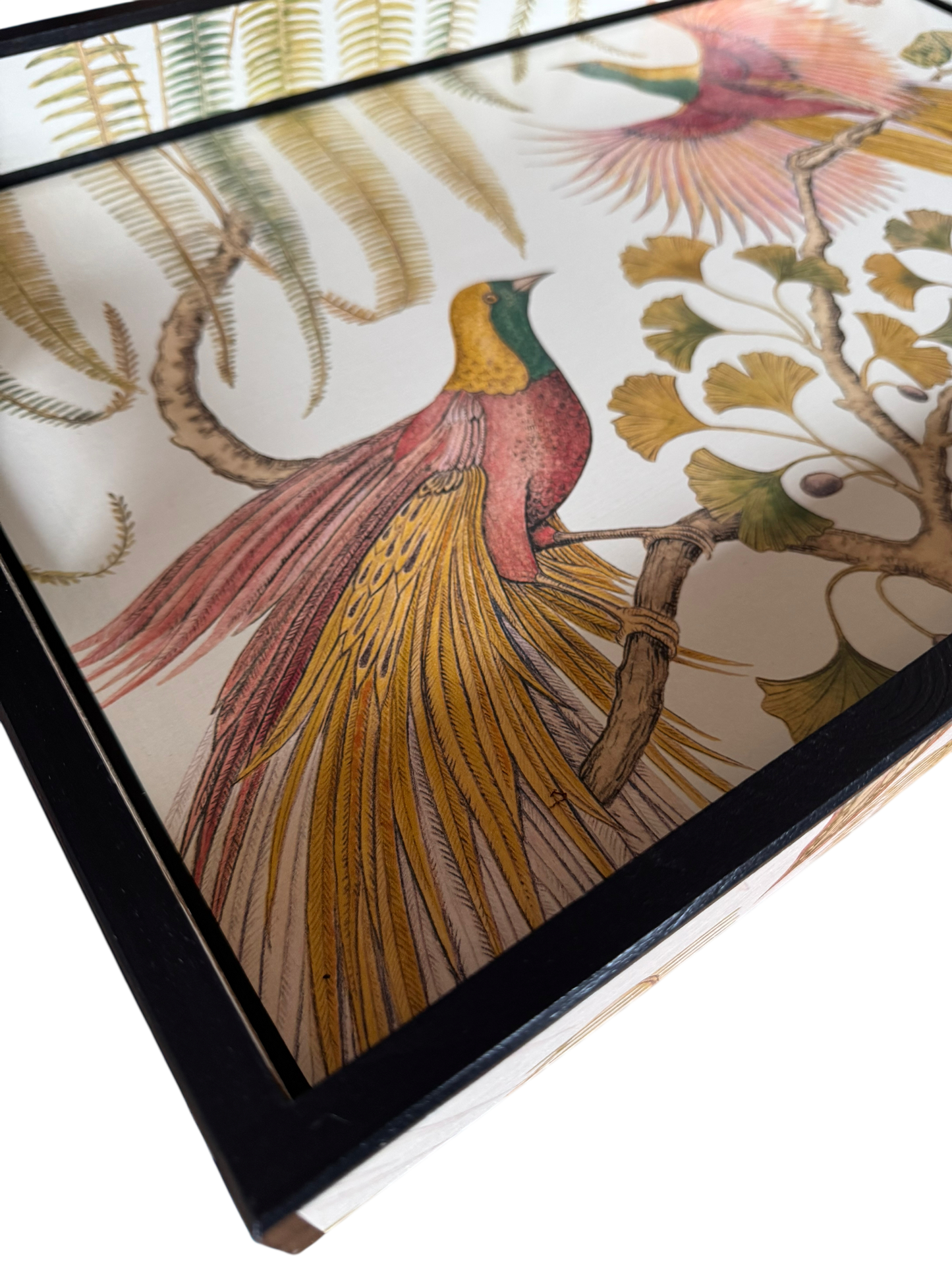 Kew Noir - Ottoman tray available in 5 x sizes - Decoupage in Bird of Paradise by Sanderson in Olive colourway